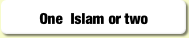 One  Islam or two.